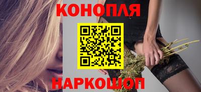 прущие грибы Камышлов