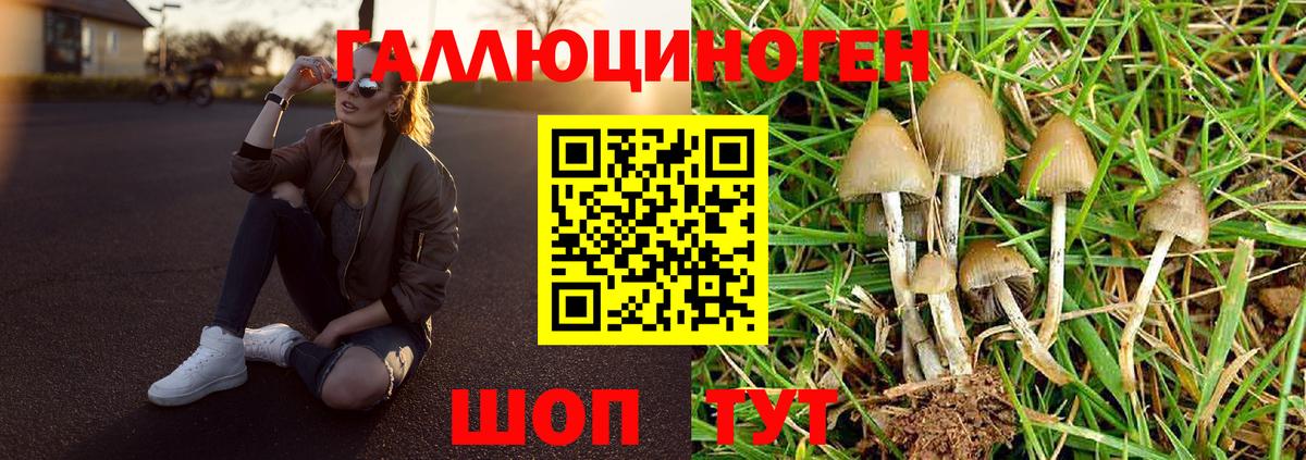Псилоцибиновые грибы мухоморы Котлас