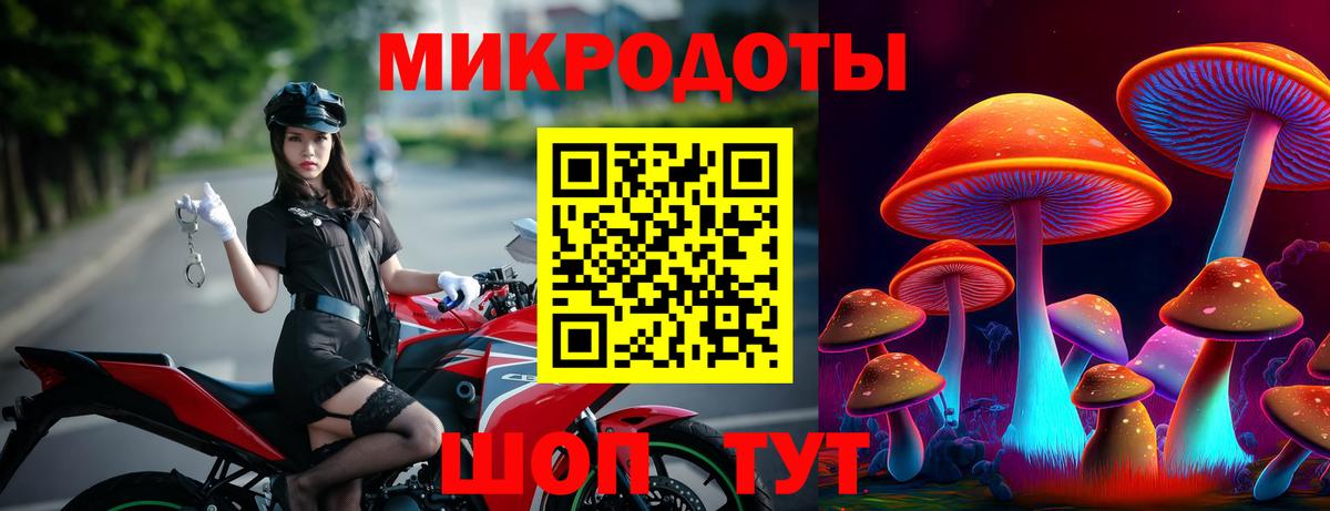 Котлас  Галлюциногенные грибы Magic Shrooms  Вход с VPN  Галлюциногенные грибы Cubensis 